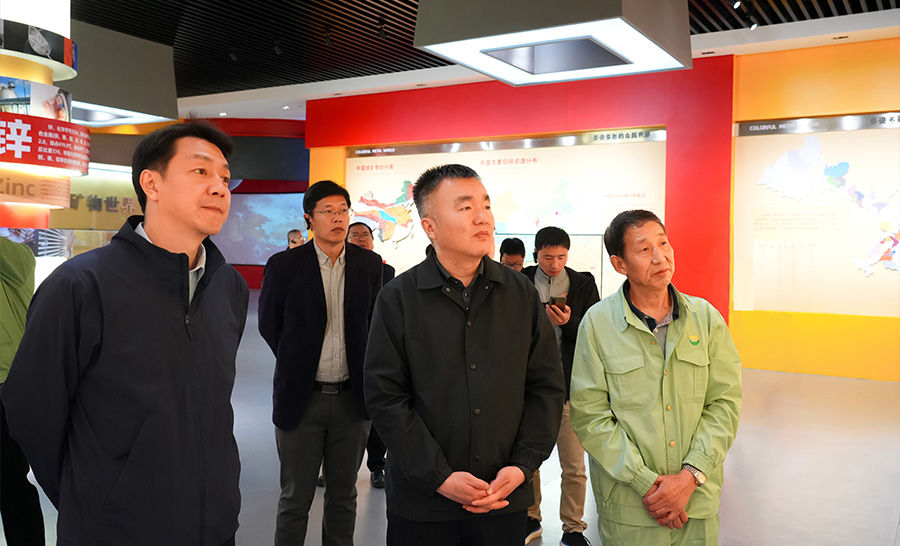 10.4-2024年04月，自然資源部礦保司副司長王博蒞臨公司調(diào)研。.jpg